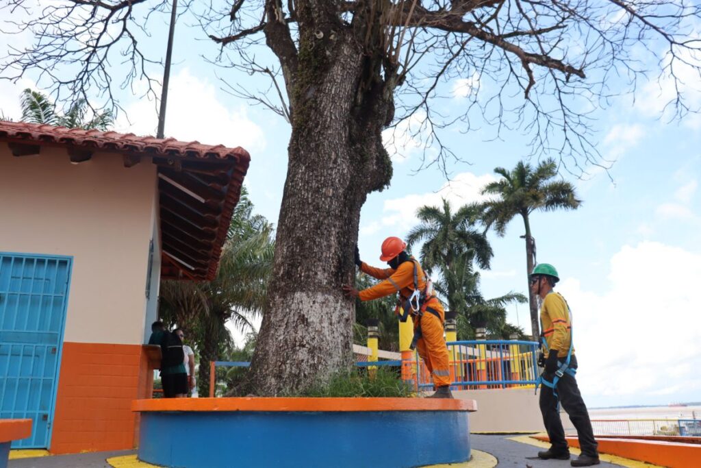 Foto: Dimily Paiva/Divulgação