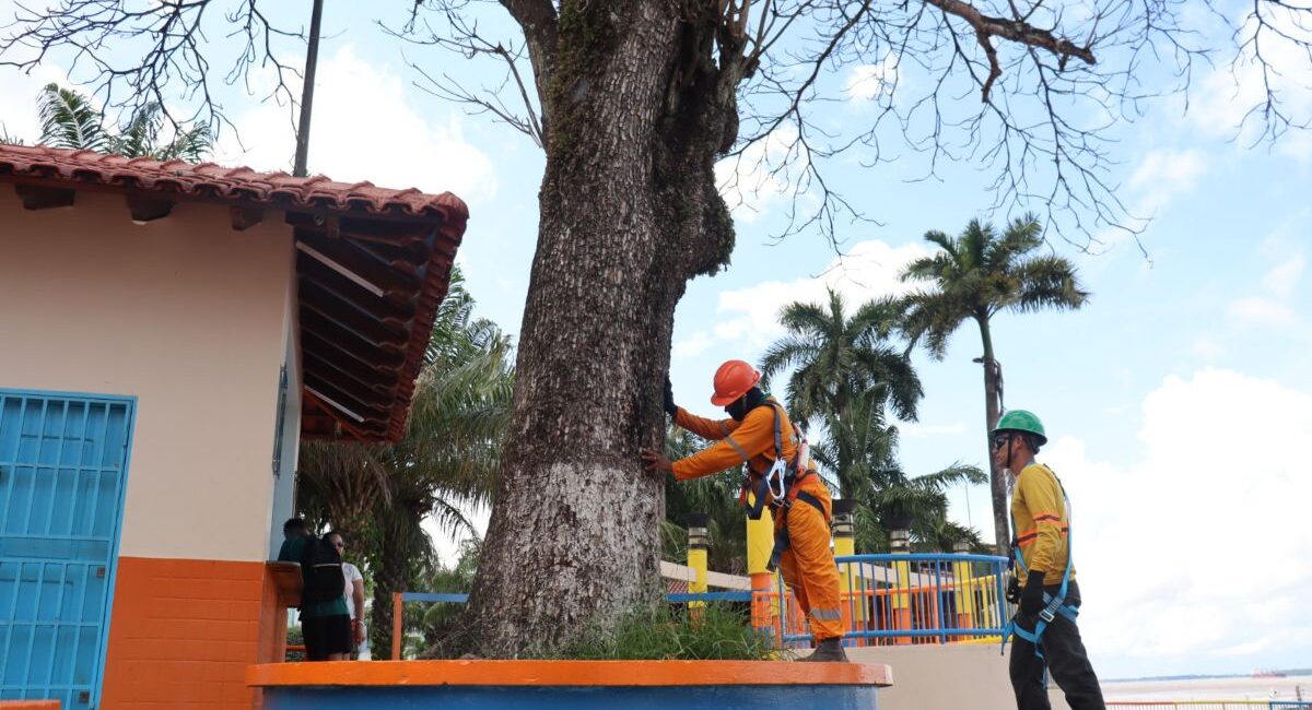 Foto: Dimily Paiva/Divulgação