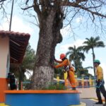 Foto: Dimily Paiva/Divulgação