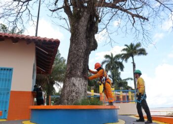 Foto: Dimily Paiva/Divulgação