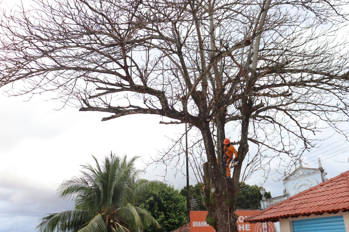 Foto: Dimily Paiva/Divulgação