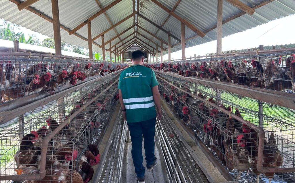 Foto: Daniel Abreu/Divulgação