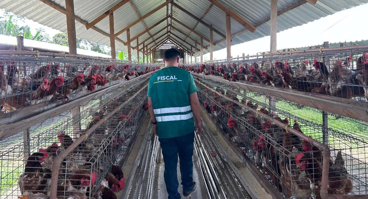 Foto: Daniel Abreu/Divulgação