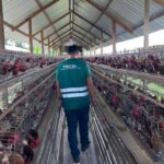 Foto: Daniel Abreu/Divulgação