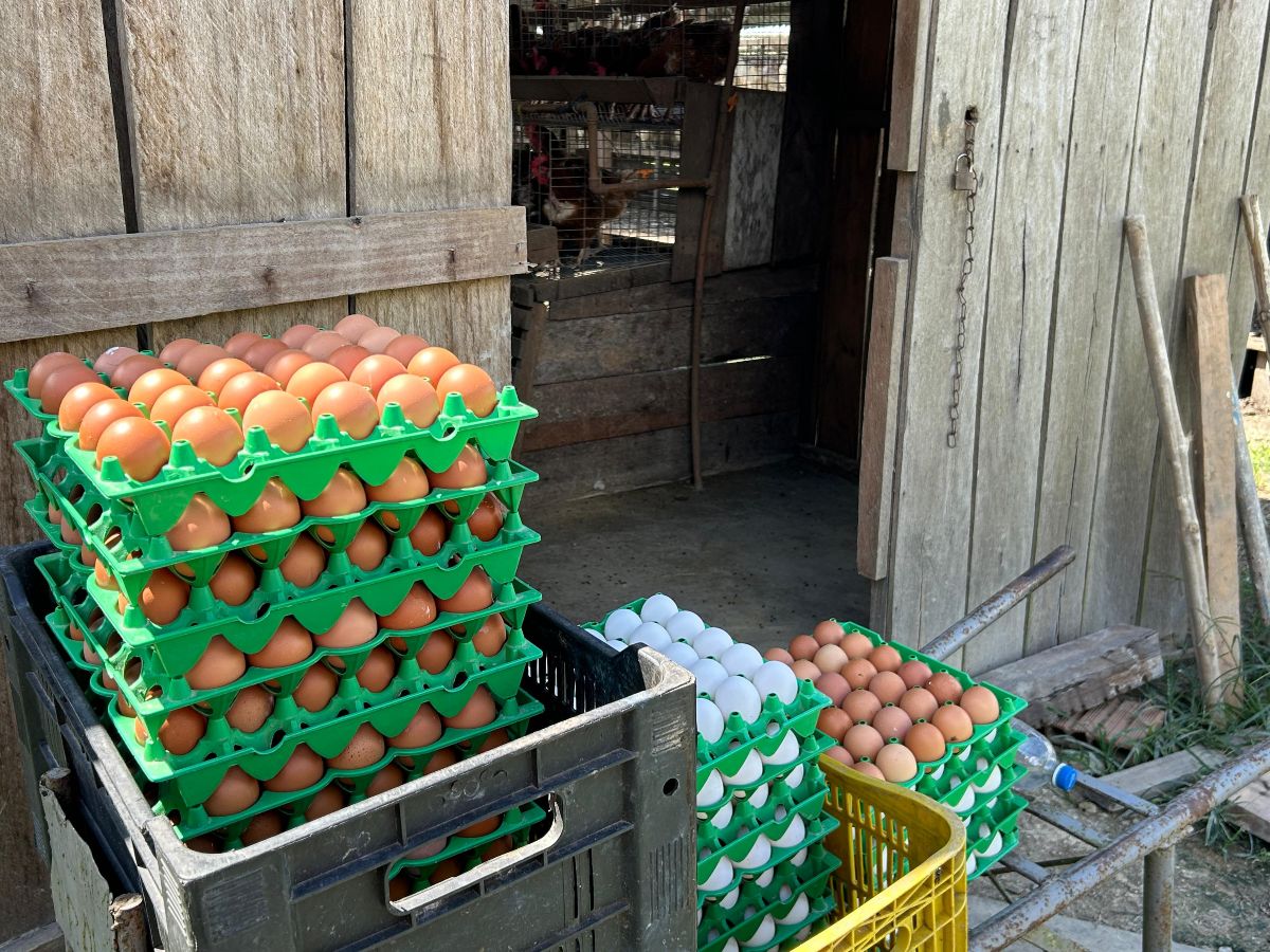 Foto: Daniel Abreu/Divulgação