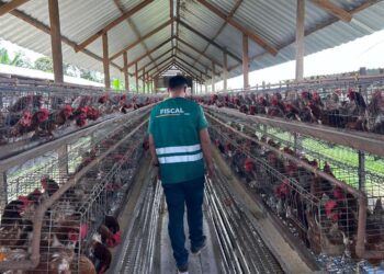 Foto: Daniel Abreu/Divulgação