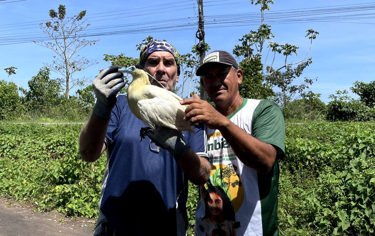 Foto: Victória Cavalcante/Prefeitura de Itacoatiara/Divulgação