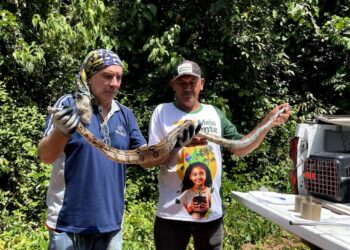 Foto: Victória Cavalcante/Prefeitura de Itacoatiara/Divulgação