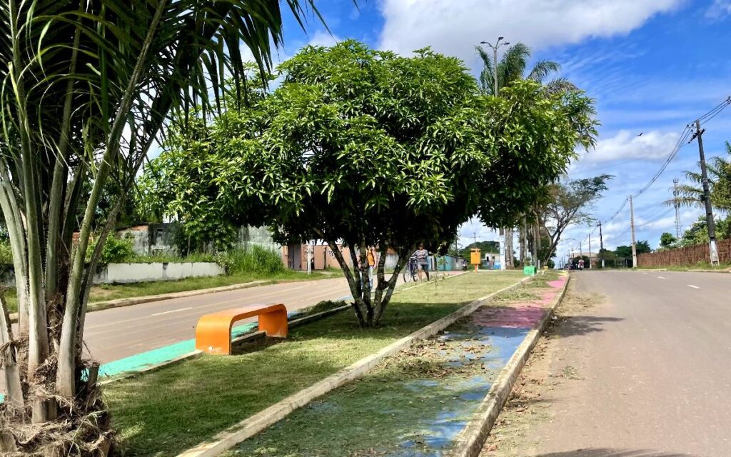 Foto: Victória Cavalcante/Prefeitura de Itacoatiara/Divulgação