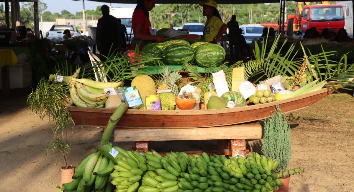 Foto: Prefeitura de Itacoatiara/Divulgação