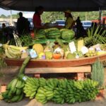 Foto: Prefeitura de Itacoatiara/Divulgação