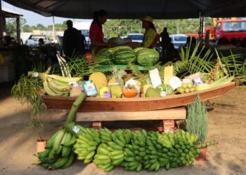 Foto: Prefeitura de Itacoatiara/Divulgação