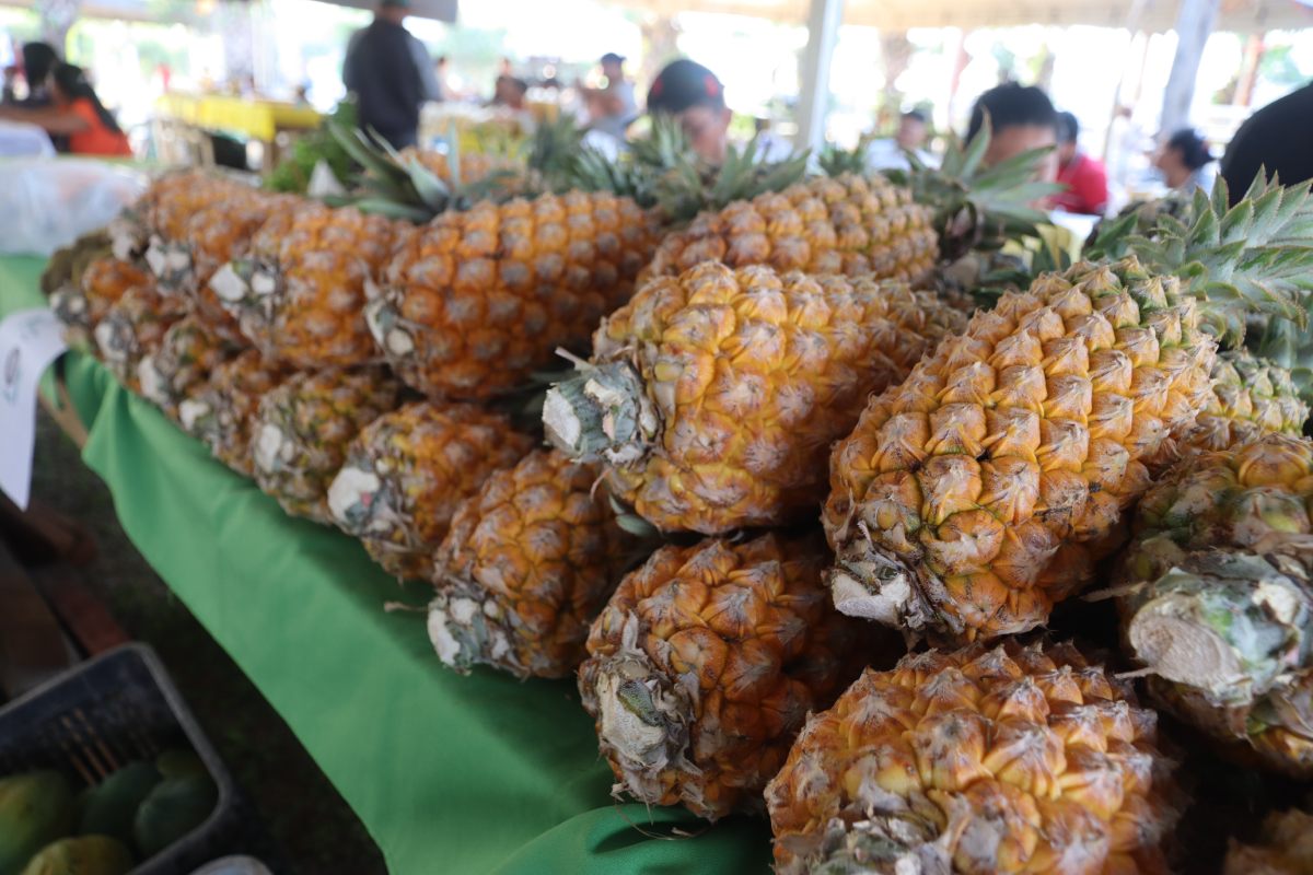 Foto: Prefeitura de Itacoatiara/Divulgação