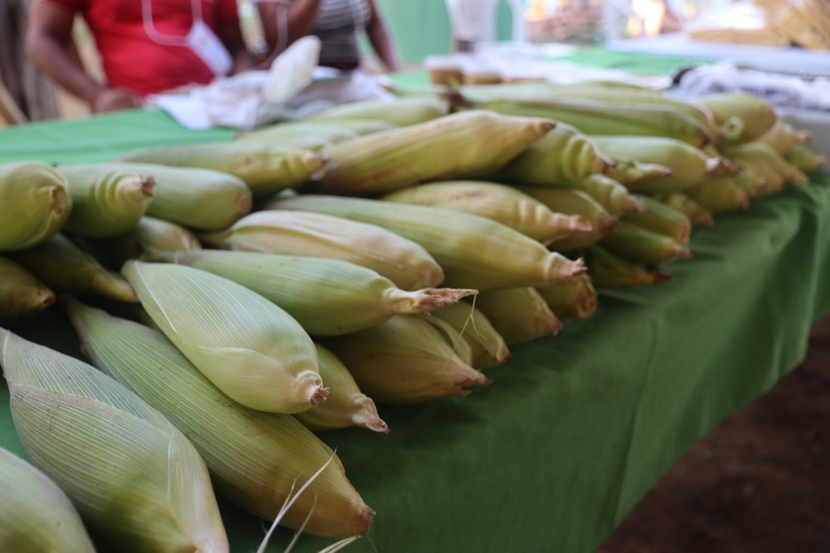Foto: Prefeitura de Itacoatiara/Divulgação