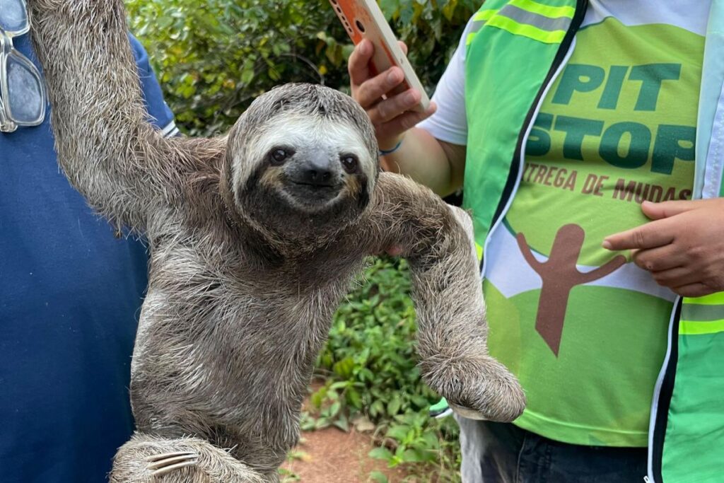 Foto: Prefeitura de Itacoatiara/Divulgação