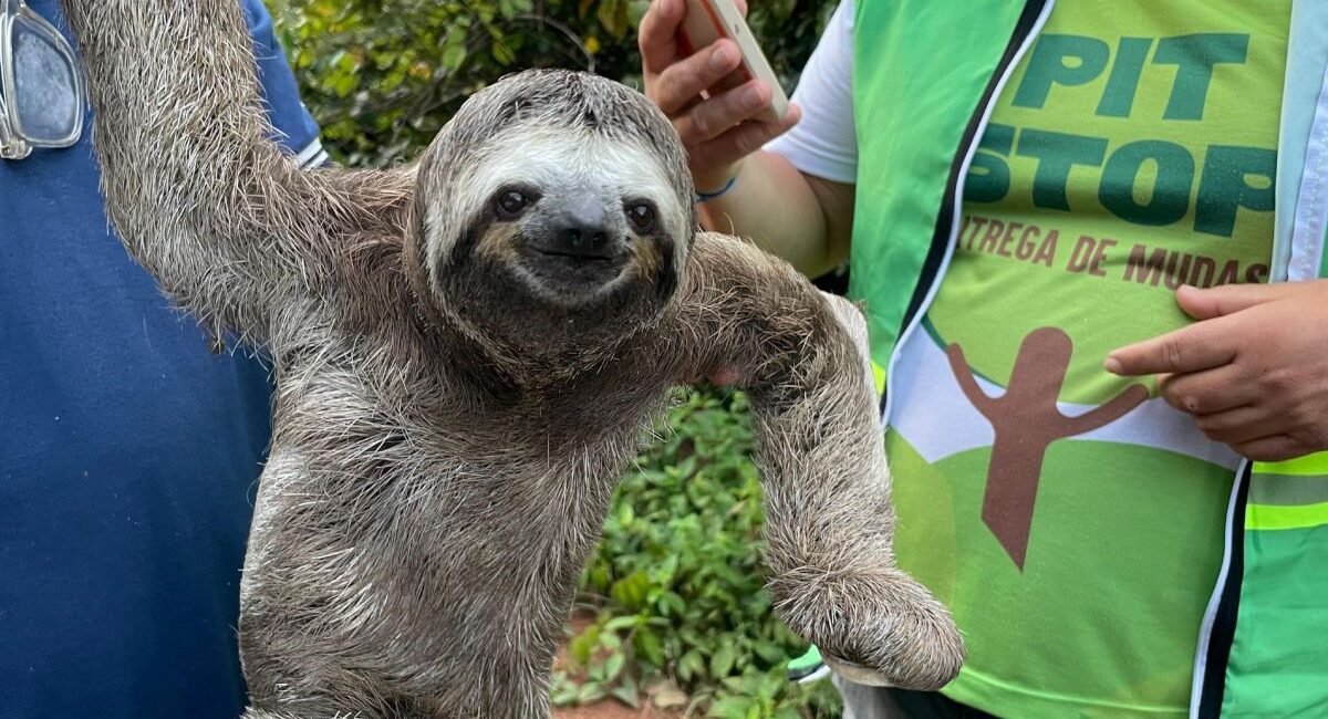 Foto: Prefeitura de Itacoatiara/Divulgação