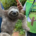 Foto: Prefeitura de Itacoatiara/Divulgação