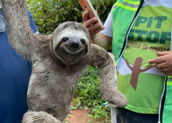 Foto: Prefeitura de Itacoatiara/Divulgação