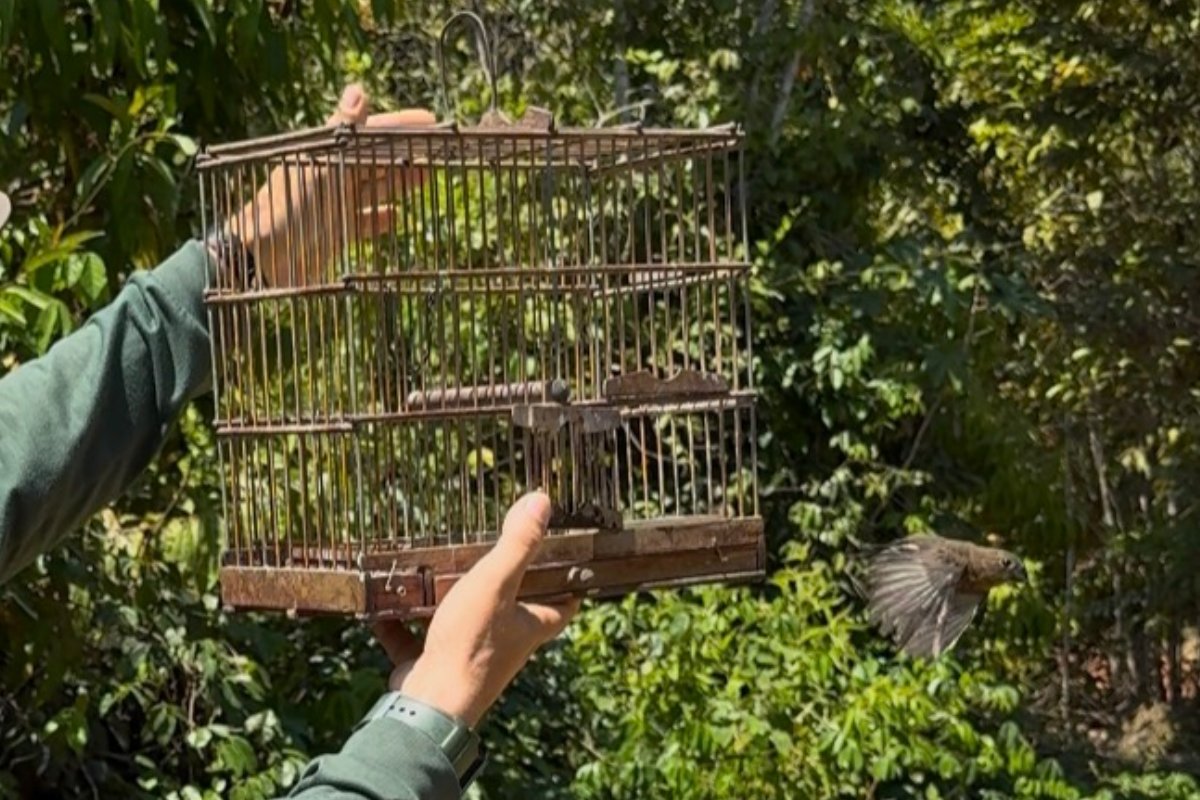 Foto: Prefeitura de Itacoatiara/Divulgação