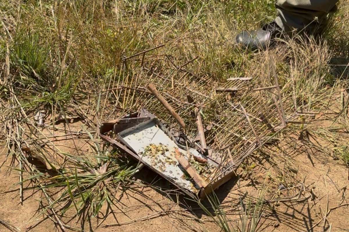 Foto: Prefeitura de Itacoatiara/Divulgação