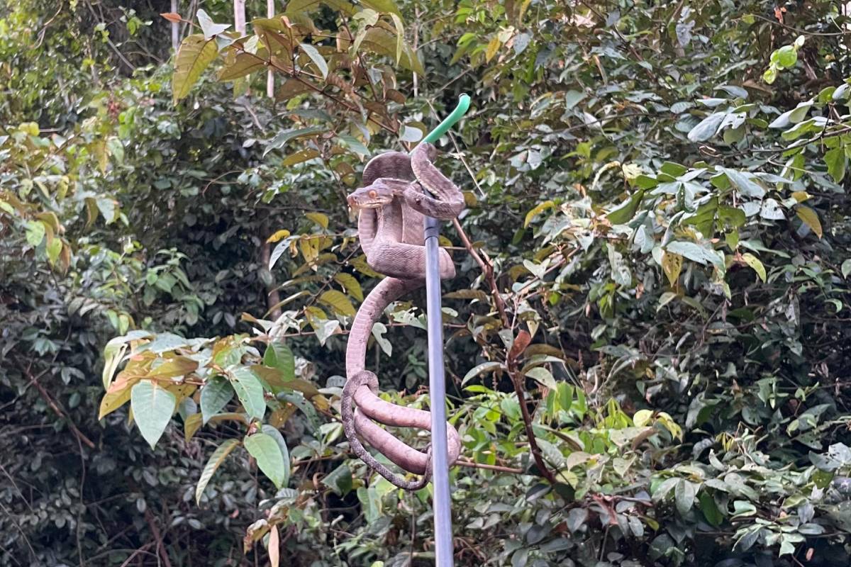 Foto: Prefeitura de Itacoatiara/Divulgação