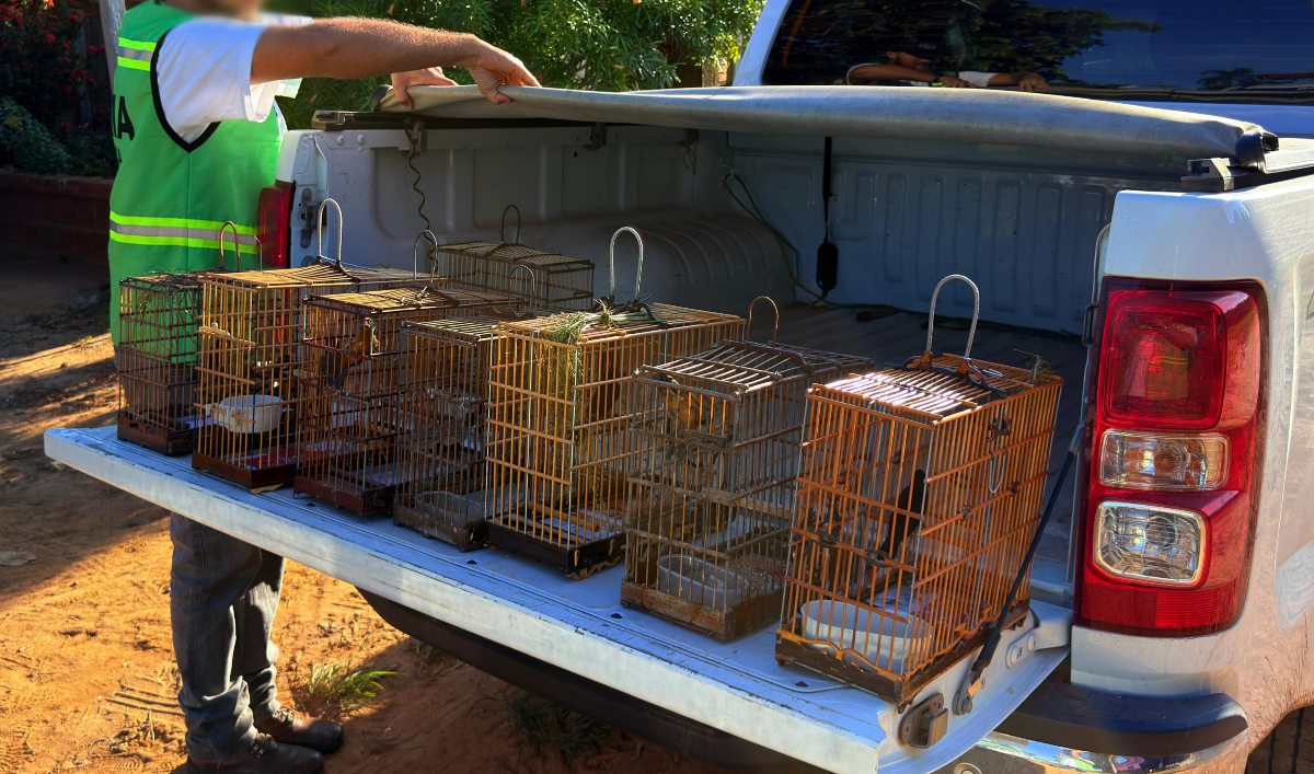 Foto: Prefeitura de Itacoatiara/Divulgação