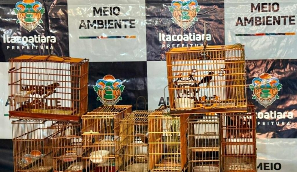 Foto: Prefeitura de Itacoatiara/Divulgação