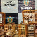 Foto: Prefeitura de Itacoatiara/Divulgação