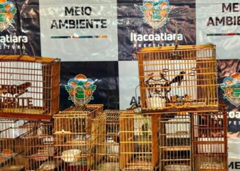 Foto: Prefeitura de Itacoatiara/Divulgação