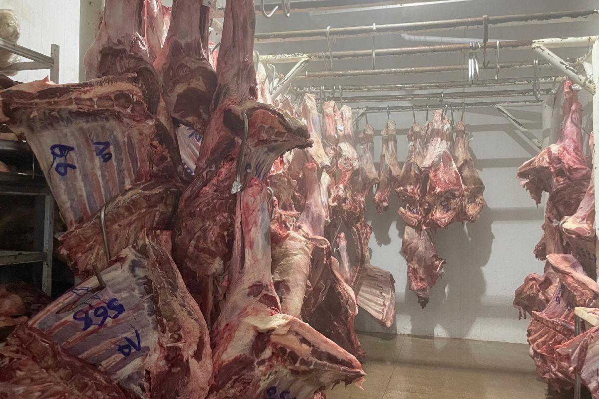 Foto: Prefeitura de Itacoatiara/Divulgação