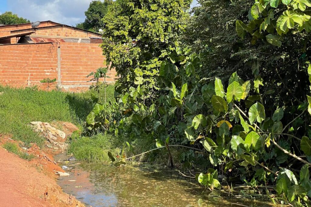Foto: Prefeitura de Itacoatiara/Divulgação