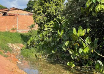 Foto: Prefeitura de Itacoatiara/Divulgação