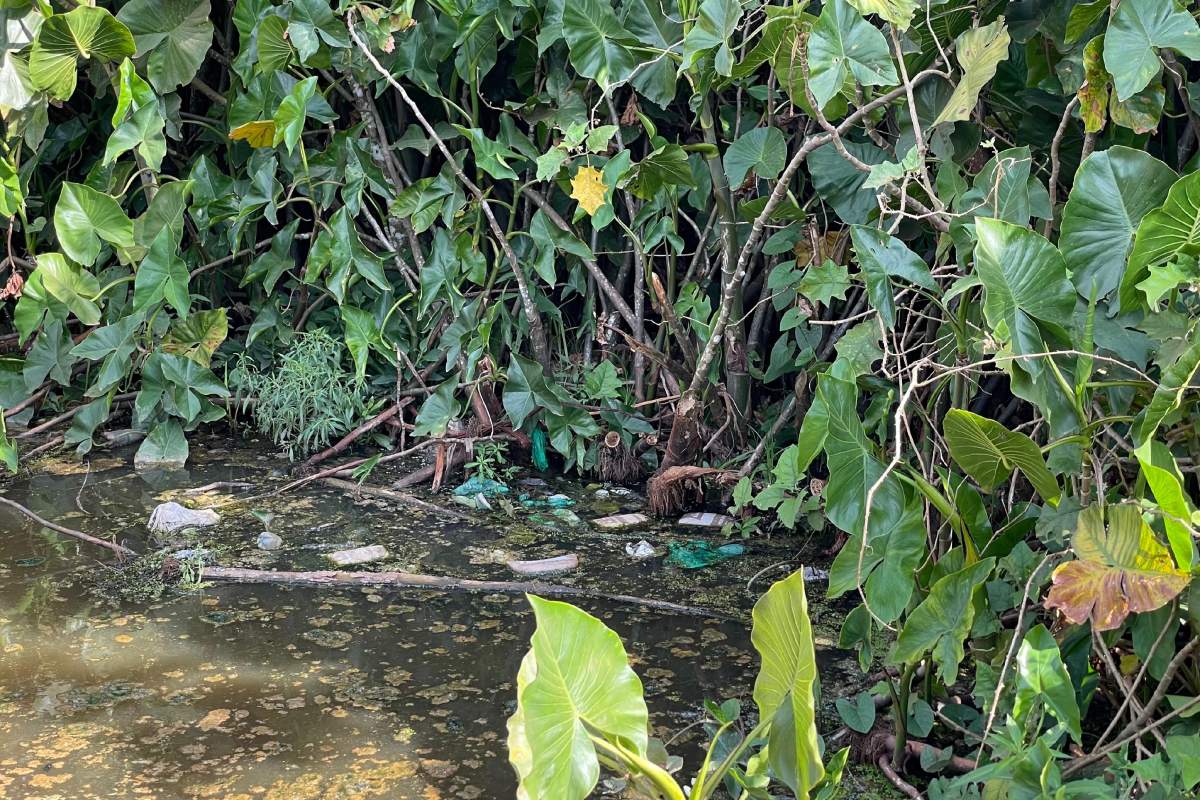 Foto: Prefeitura de Itacoatiara/Divulgação