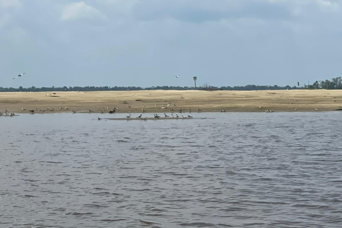 Foto: Victória Cavalcante/Prefeitura de Itacoatiara/Divulgação