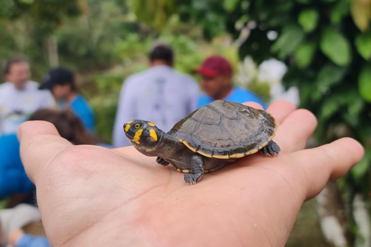 Foto: Prefeitura de Itacoatiara/Divulgação