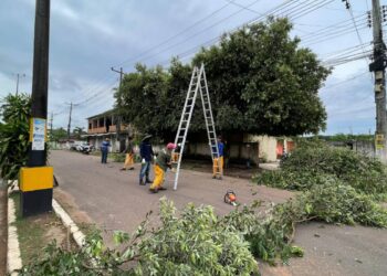 Foto: Victória Cavalcante/Prefeitura de Itacoatiara/Divulgação