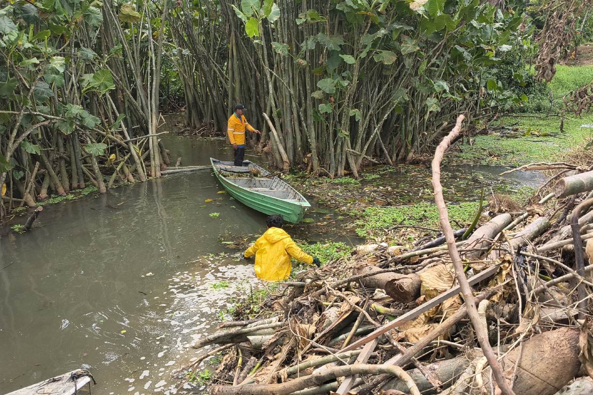 Foto: Victória Cavalcante/Prefeitura de Itacoatiara/Divulgação