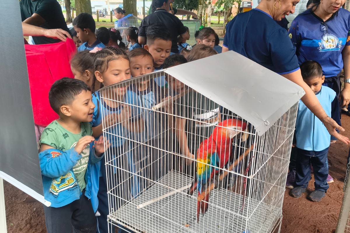 Foto: Victória Cavalcante/Prefeitura de Itacoatiara/Divulgação