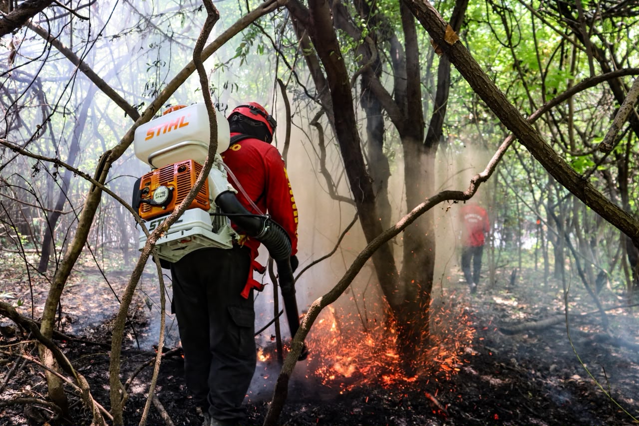 Prefeitura realiza força-tarefa para combater incêndios florestais na região do Rio Arari